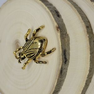 Beetle Pin Brooch Gold Tone Sweet NWT
